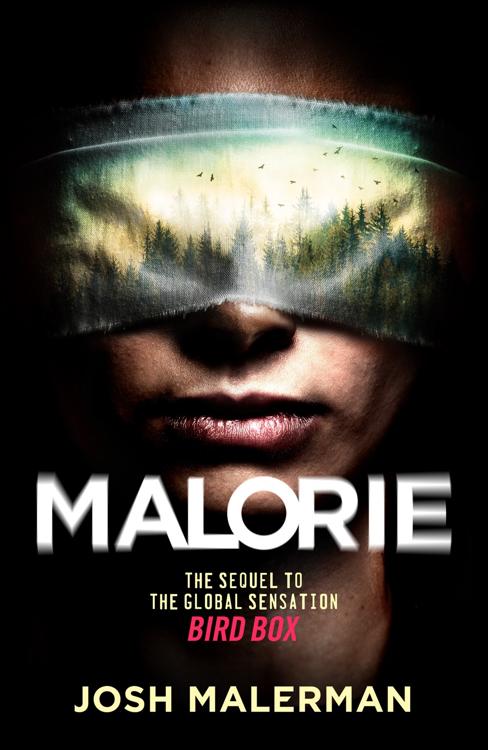 netflix-horror-bird-box-sequel-reportedly-in-development-Malorie-png netflix horror bird box sequel reportedly in development Malorie png