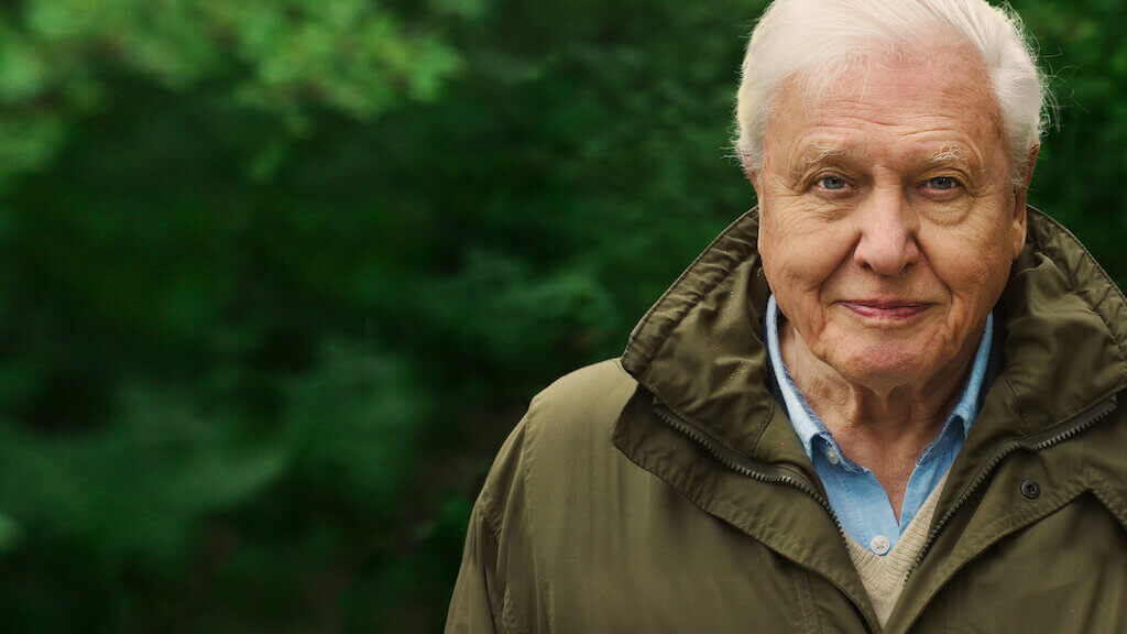 david-attenborough-documentary-new-on-netflix david attenborough documentary new on netflix
